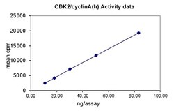 Eurofins DiscoverX Cdk2/Cyclin A Protein, Active 10 &mu;g | Buy Online | Eurofins DiscoverX | Fisher Scientific